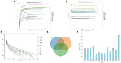 Seaweed polysaccharide relieves hexavalent chromium-induced gut microbial homeostasis